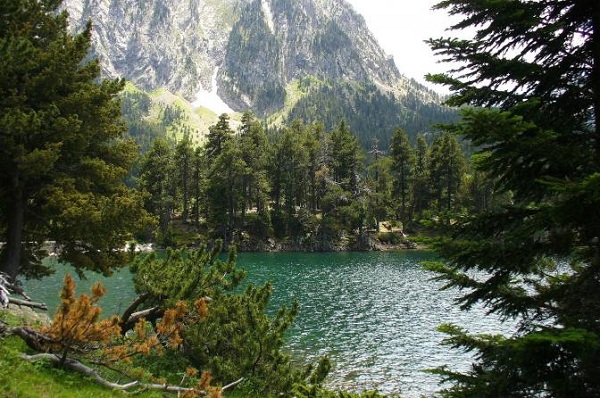 hiking in spain lake pine trees