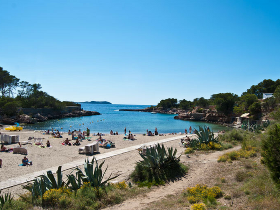 best beaches of ibiza gracioneta