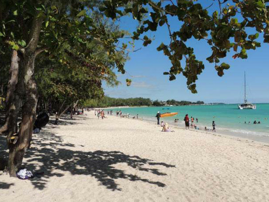 Island-Mauritius-Mont-choisy-beach