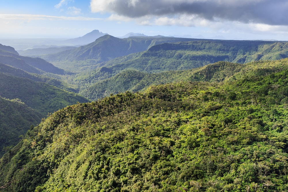 Island-Mauritius_Black-River-Gorges-National-Park