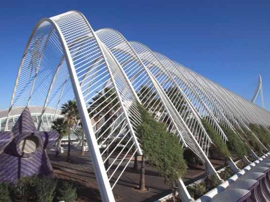 city of arts and sciences valencia umbracle