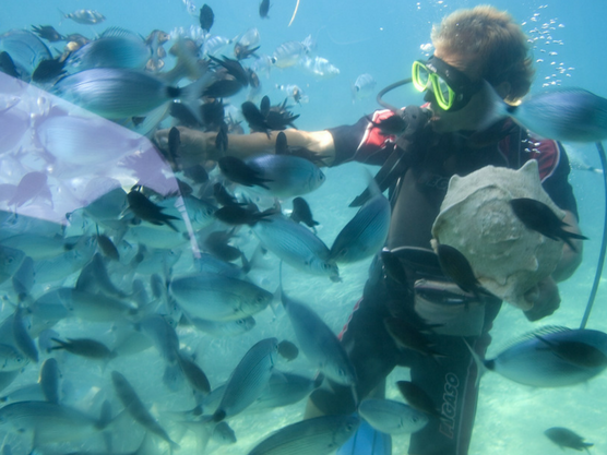 diving in javea underwater