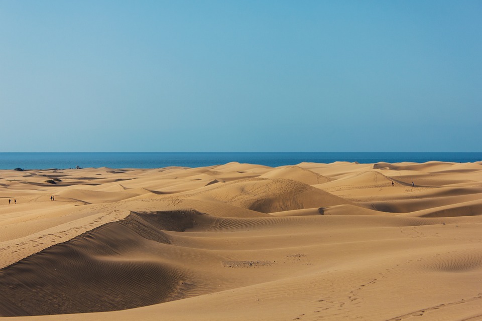 gran canaria with kids header muchosol