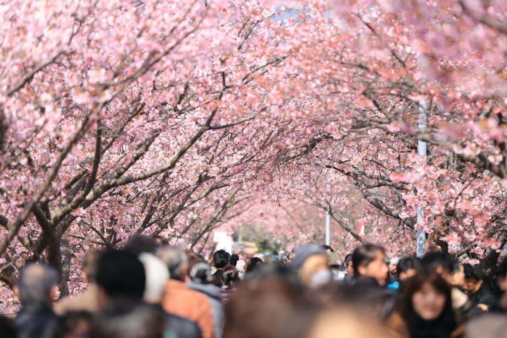 6 beautiful destinations on earth japan