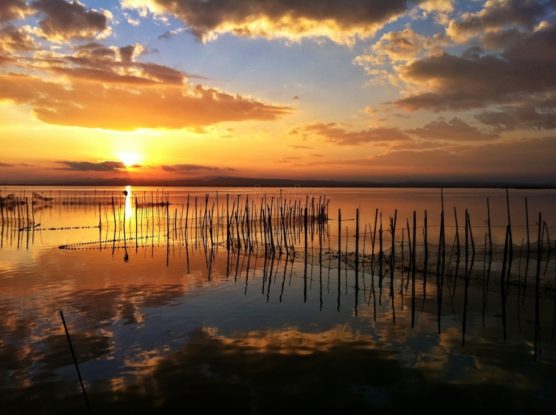 The best sunset in spain albufera valencia