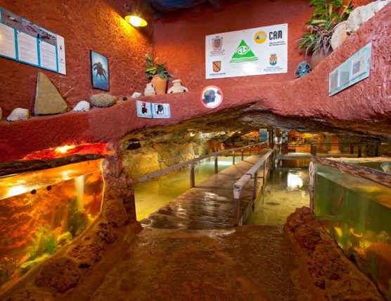 Ibiza with kids aquarium