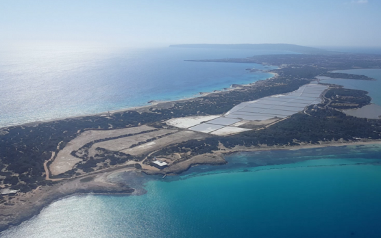 ibiza with kids viewpoint ses salines