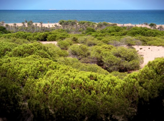 the best towns of the costa blanca guardamar