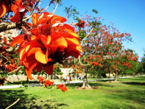 turia park valencia with kids