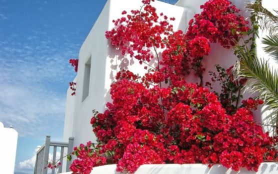 greece islands mykonos