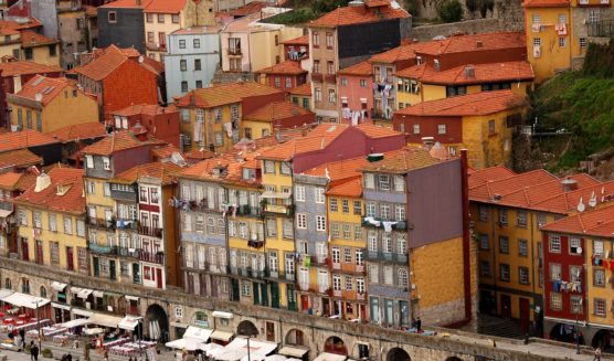 things to do in porto ribeira district