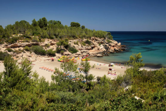 Coves-of-Tarragona-Forn-muchosol