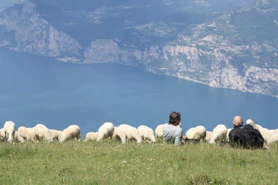 What to do at Lake Garda monte baldo