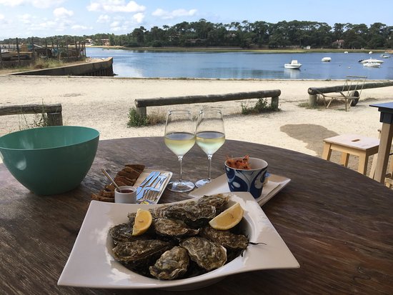 restaurants-in-the-landes-muchosol-view-wine