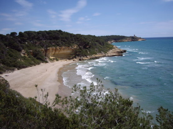 Coves-of-Tarragona-waikiki-muchosol