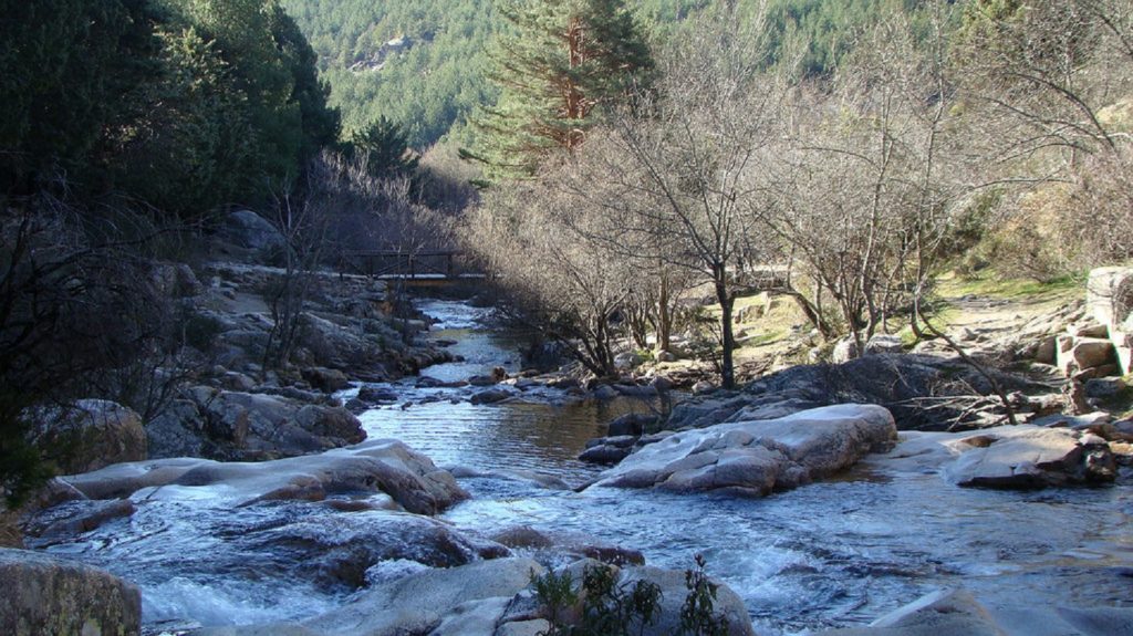 Nationa-Park-Guadarrama-nature