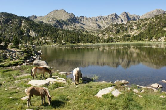 what to see and do in Andorra