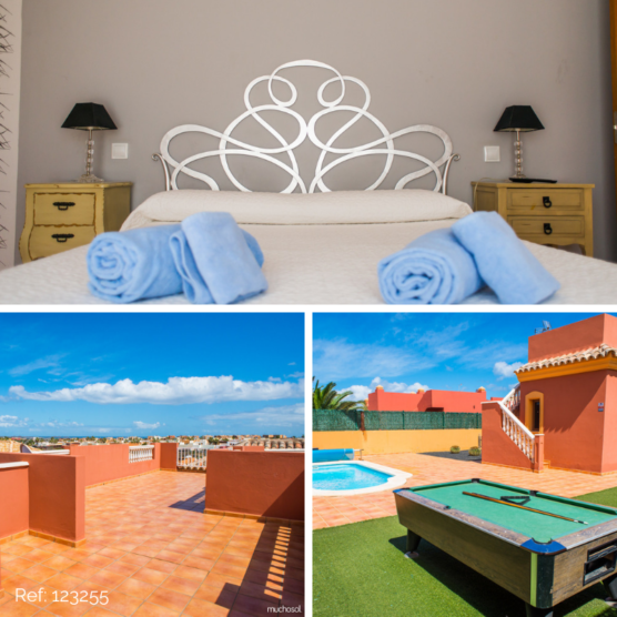 pet friendly accommodations in the Canary Islands