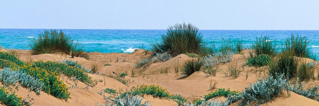 Sicily´s best nudist beaches to experience naturism