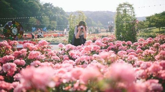 beautiful places with flowers