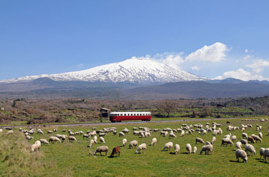 how to get around Sicily