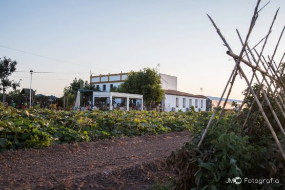 The-best-places-to-try-horchata-in-Valencia-vida-e1564732977431